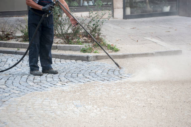 Best Soft Washing for Delicate Surfaces in Crandon Lakes, NJ